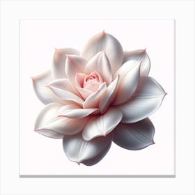 White Lotus Flower Canvas Print