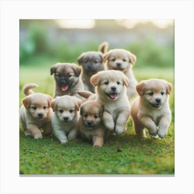 Puppies Running On Grass Canvas Print