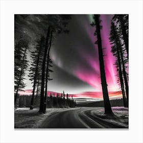 Aurora Borealis 40 Canvas Print