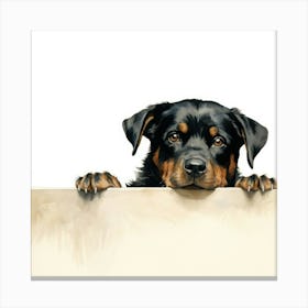 Rottweiler 2 Canvas Print