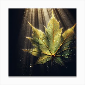 Maple Leaf 3 Canvas Print