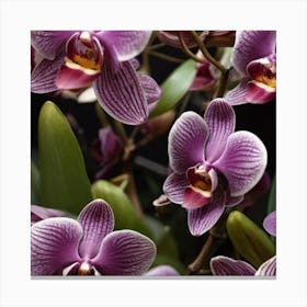 Orchids 4 Canvas Print