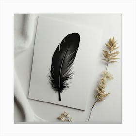 Black Feather 2 Canvas Print