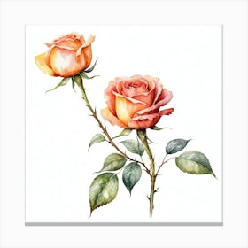 Watercolor Roses Canvas Print