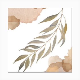 Eucalyptus Leaf Canvas Print