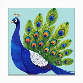 Peacock 1 Canvas Print