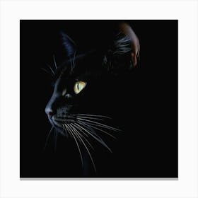 Black Cat Portrait Canvas Print