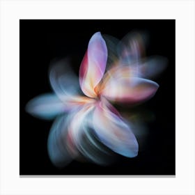 Flower In Motion 1 Canvas Print