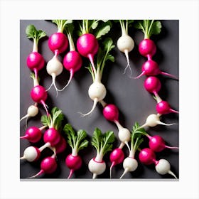 Radishes 24 Canvas Print