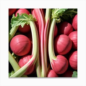 Radishes 79 Canvas Print