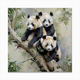 Panda Canvas Print