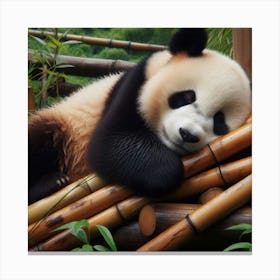 Peaceful Panda Slumber Canvas Print