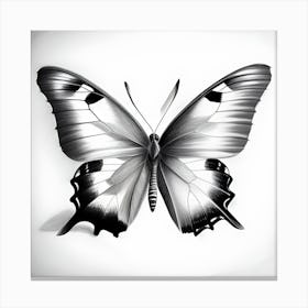 Butterfly In Black And White Canvas Print