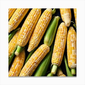 Corn On The Cob 8 Canvas Print