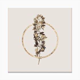 Gold Ring Cuspidate Rose Glitter Botanical Illustration n.0321 Canvas Print