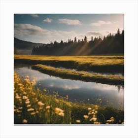 Sunrise In The Meadow Canvas Print
