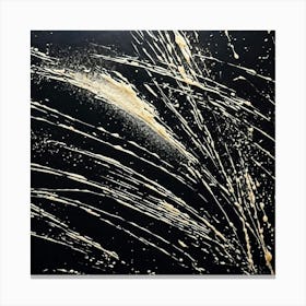 Black And White Splatter Canvas Print