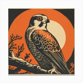 Retro Bird Lithograph American Kestrel 2 Canvas Print