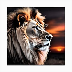 Lion At Sunset 13 Canvas Print