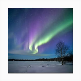 A Photo Of The Aurora Borealis Dancing Across The 00eyvognra2ssinnk4k6ew Tx H9pobtcarjdta0kzc8q(1) Canvas Print