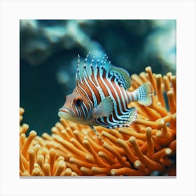 Flamingo Fish Canvas Print