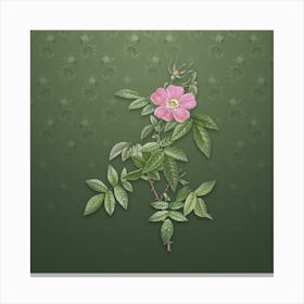 Vintage Pink Boursault Rose Botanical on Lunar Green Pattern n.1028 Canvas Print