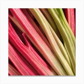 Rhubarb 13 Canvas Print