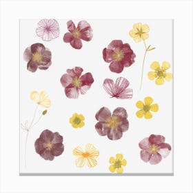 Watercolor Pressed Wild Flowers Canvas Print