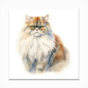 British Longhair Persian Cat Portrait 2 Canvas Print