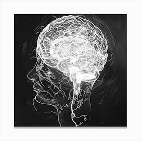 Human Brain Drawing Canvas Print