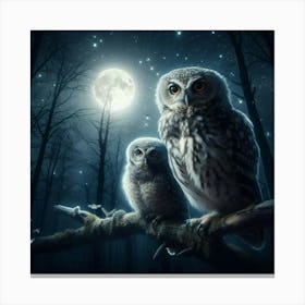 Owls At Night Canvas Print