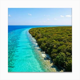 Aerial View Of A Tropical Island 9 Canvas Print