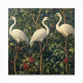 Three Cranes In A Rose Garden Art Canvas Print