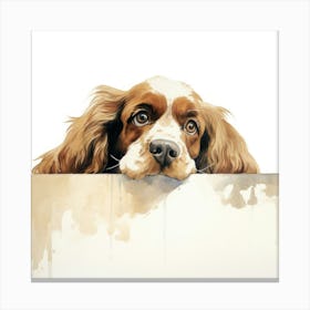 Spaniel Cocker 3 Canvas Print