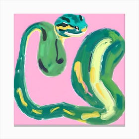 Ball Python Snake 03 Canvas Print