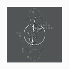 Vintage Musky Pear copy Botanical with Line Motif and Dot Pattern in Ghost Gray n.0108 Canvas Print