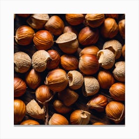 Hazelnuts 2 Canvas Print