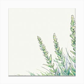 Watercolor Grasses Canvas Print