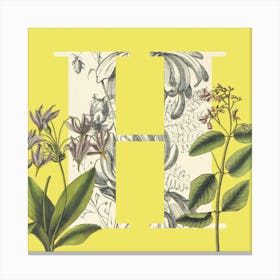 Botanical H Canvas Print