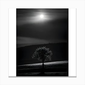 Lone Tree Canvas Print