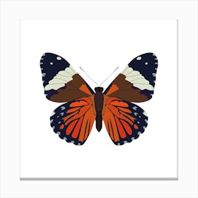 Hamadryas Butterfly Square Canvas Print