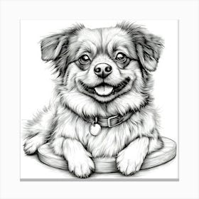 Tibetan Spaniel Canvas Print