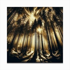 Dark Forest 12 Canvas Print