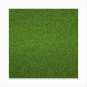 Green Grass Background 21 Canvas Print