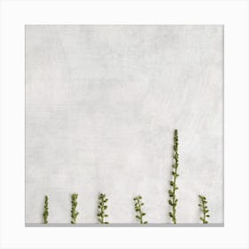 Minimal Delicate Botanicals Square Canvas Print