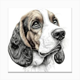 Basset Hound Canvas Print