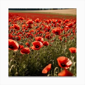 Poppy Field 1 Canvas Print