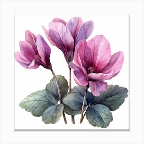 Cyclamen Toile