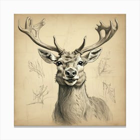 Deer Head 15 Canvas Print