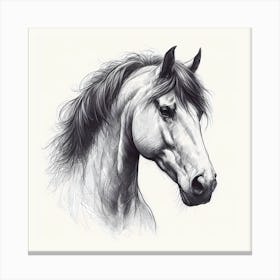 Horse Head Drawing 1 Canvas Print